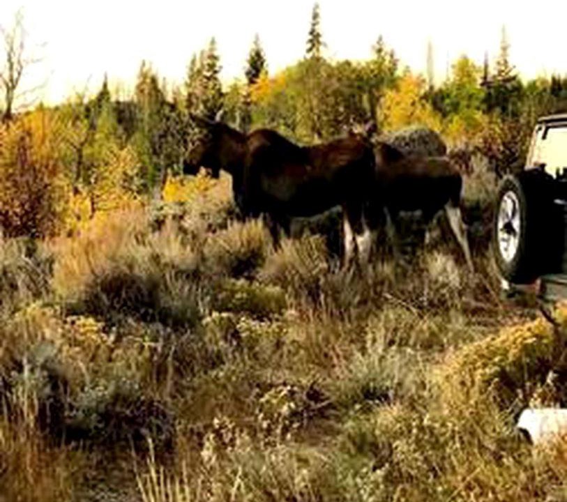 Photo of Others in Walden