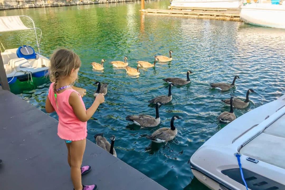 Photo of Others in Bayview