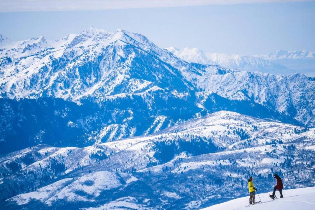 Photo of Others in Wolf Creek