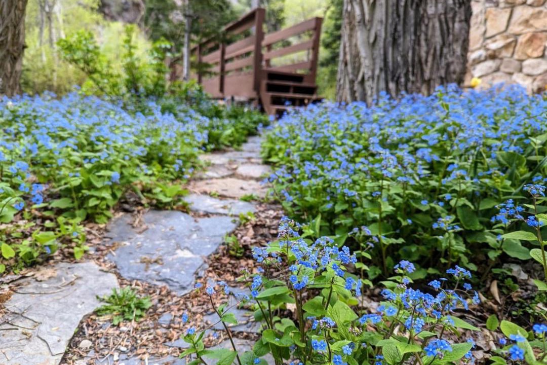 Photo of Outdoor in Snowbird