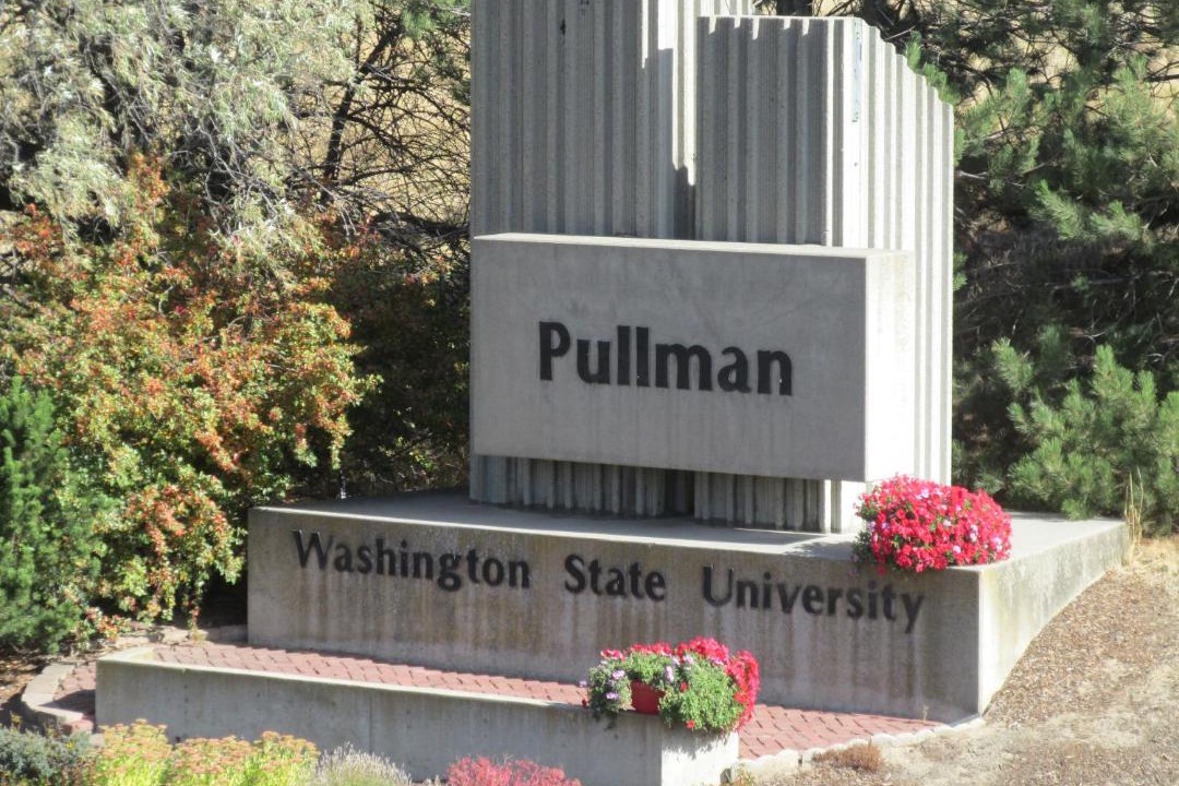 Photo of Others in Pullman