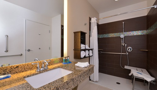 Standard Room, 1 King Bed, Roll-in Shower (Roll-In Shower)