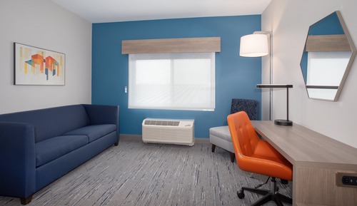 Suite, 1 King Bed, Roll-in Shower (Communications, Mobility Accessible)