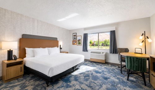 Room, 1 King Bed, Mobility Accessible, Bathtub (Hearing)