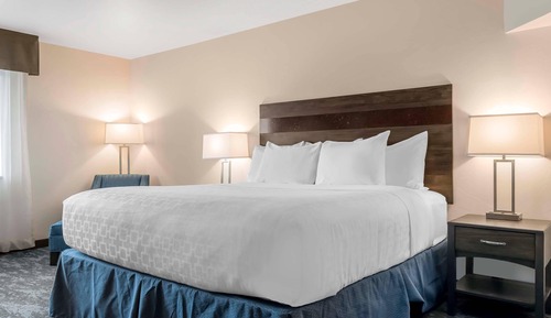 Standard Room, 1 King Bed, Non Smoking (Not Pet Friendly)