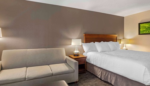 Standard Room, 1 King Bed, Microwave (with Sofabed)