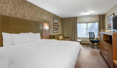 King Room with Sofa Bed - Pet Friendly