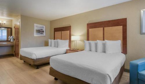 Queen Room - Mobility Accessible with Roll-In Shower