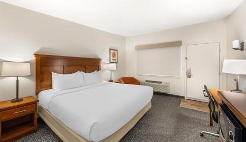 Queen Bed - Non Smoking