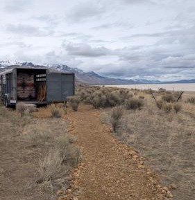 Caravan