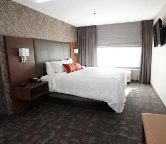 King Suite with Sofa Bed