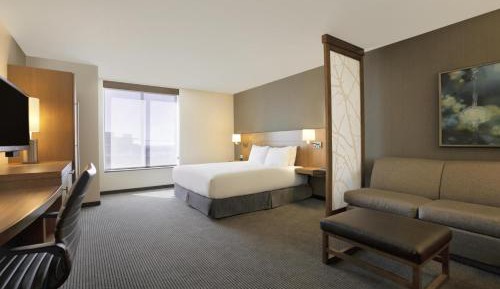 King Room with Sofa Bed and Roll-In Shower - Disability Access