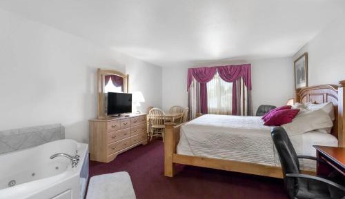 Deluxe King Studio Suite - Non-Smoking