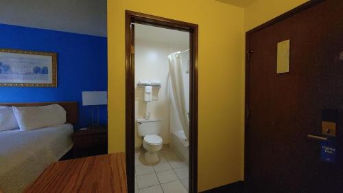 1 Queen Bed, Mobility Accessible Room, Roll-In Shower, Non-Smoking