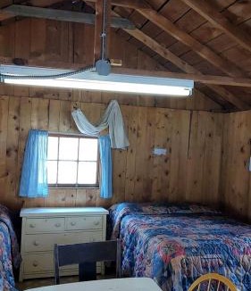 Bellvue House | Cozy, Pet Friendly Cabin Deep in the Mountains for a Serene Getaway of Wilderness and Wildlife