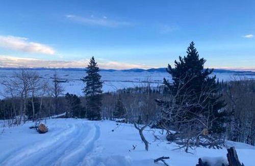 Walden House | Small Cabin in Colorado for a Weekend Getaway from Denver