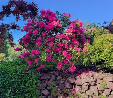 Mirrormont House | Rainier View Lodge - Seattle & Mountain Escape 2BR