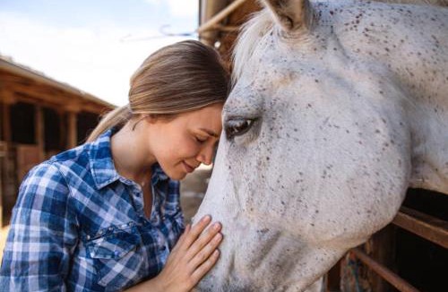 Bruneau House | Rustic Ranch Getaway