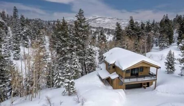 Bear Necessities w/PC ski views