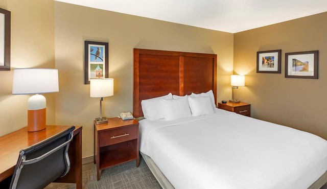 Comfort Inn Missoula near University