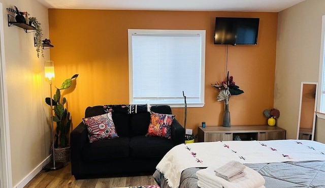 Talavera- vibrant Mexican-inspired apt in Salem in Salem